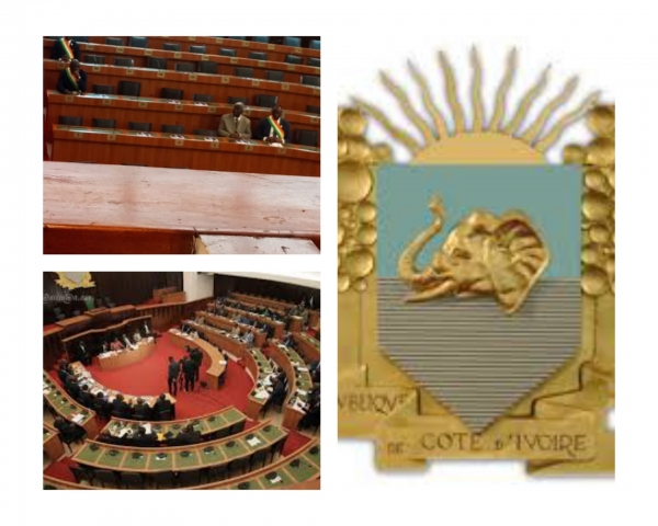 Côte d'Ivoire : des députés PDCI-RDA quittent la salle, lors d'une session ordinaire  de l'Assemblée nationale
