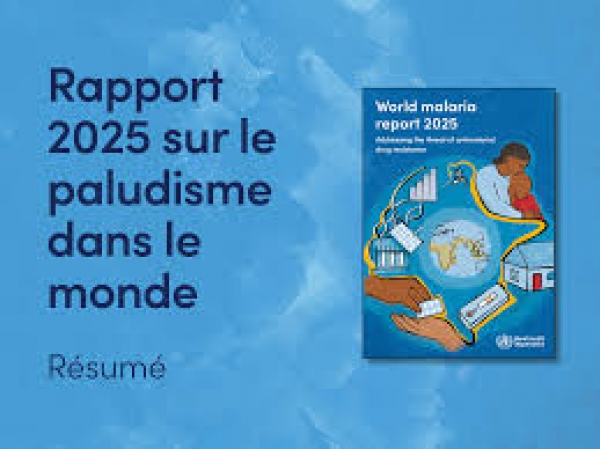Paludisme : 270,8 millions de cas et près de 600 000 décès(Rapport 2025)