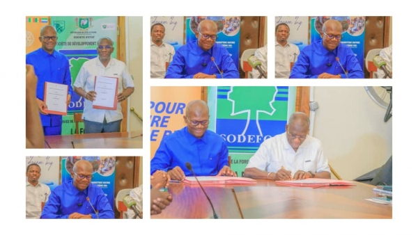 Côte d’Ivoire : le District 9101 du Rotary International s'engage dans la préservation de l’environnement